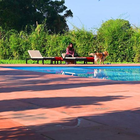 Motibagh Hotel Sawai Madhopur Ngoại thất bức ảnh